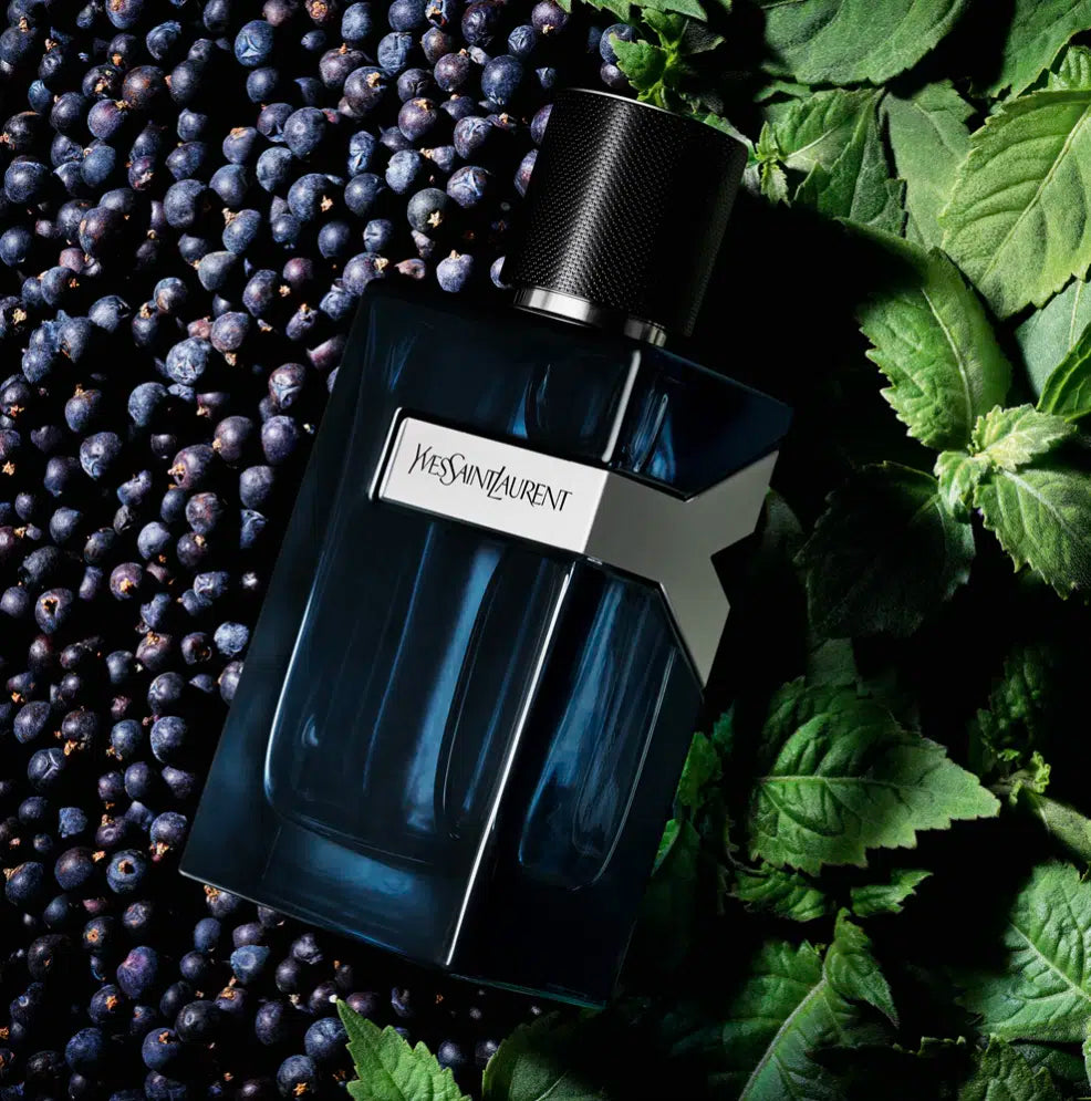 Yves Saint Laurent Y EDP