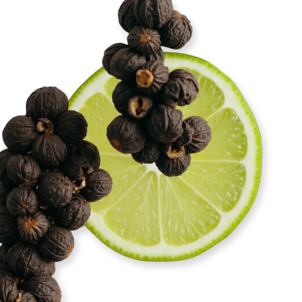 Castley Parfums de Marly