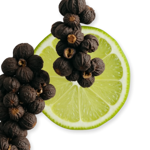 Castley Parfums de Marly