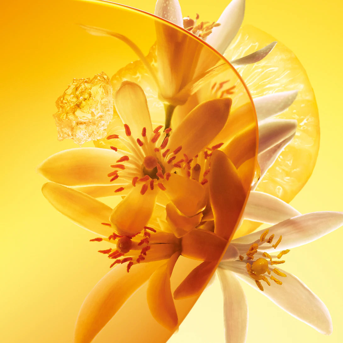 Louis Vuitton Sun Song